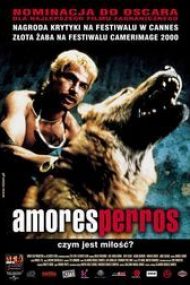 Amores perros (2000) online subtitrat