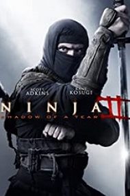 Ninja: Shadow of a Tear (2013) online subtitrat in romana