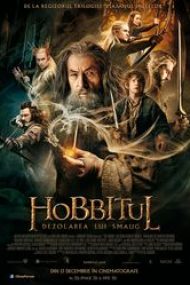 The Hobbit: The Desolation of Smaug 2013 filme gratis