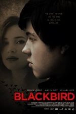 Bye Bye Blackbird (2012) film online