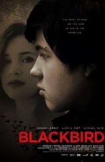 Bye Bye Blackbird (2012) film online