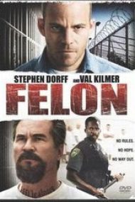 Felon (2008) film online