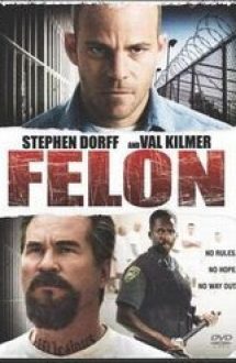Felon (2008) film online
