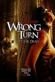 Wrong Turn 3: Left for Dead (2009) film online subtitrat in romana