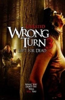 Wrong Turn 3: Left for Dead (2009) film online subtitrat in romana
