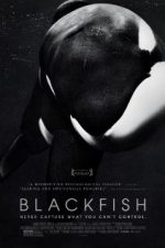 Blackfish – Balena ucigașă (2013) – filme online