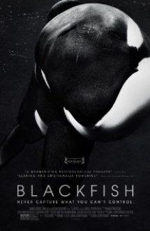 Blackfish – Balena ucigașă (2013) – filme online