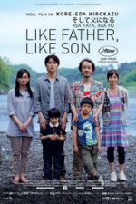Like Father, Like Son (2013) – online subtitrat