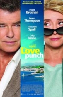Love Punch (2013) – online subtitrat