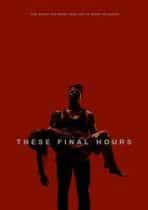 Ore finale 2013 subtitrat gratis hd