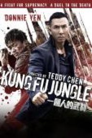 Kung Fu Jungle 2014 film hd cu subtitrare