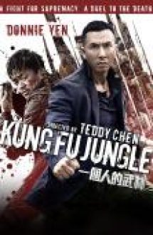 Kung Fu Jungle 2014 film online de actiune hd