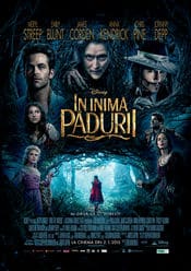Into the Woods
