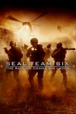 Seal Team Six: The Raid on Osama Bin Laden 2012 online subtitrat