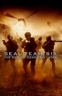 Seal Team Six: The Raid on Osama Bin Laden 2012 online subtitrat