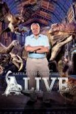 David Attenborough’s Natural History Museum Alive 2014 – online subtitrat