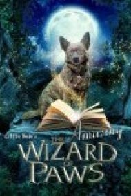 The Amazing Wizard of Paws 2015 Film Online Subtitrat