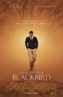 Blackbird 2014 Online Subtitrat HD