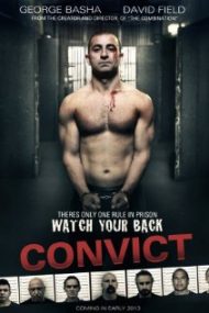 Convict 2014 online hd subtitrat