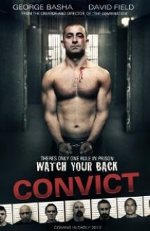 Convict 2014 online hd subtitrat