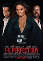 The Perfect Guy