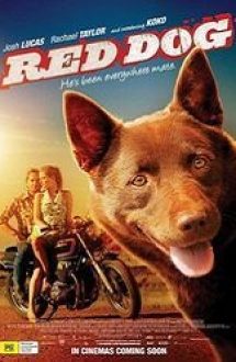 Red Dog 2011 – film online gratis