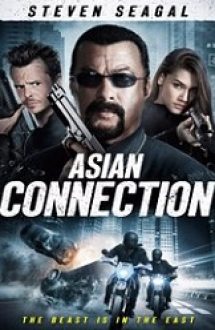 The Asian Connection 2016 online subtitrat in romana