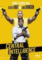 Agenţi aproape secreţi 2016 film online subtitrat in romana