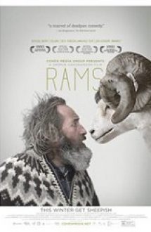 Rams 2015 film online hd gratis