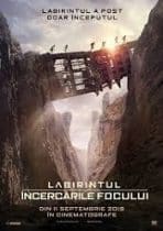 Labirintul: Încercările focului 2015 film online subtitrat gratis