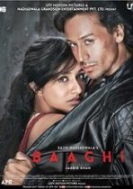 Baaghi 2016 film online subtitrat in romana