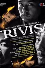 Trivisa 2016 film online hd gratis subtitrat in romana