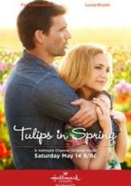 Tulips in Spring 2016 online subtitrat