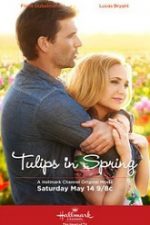 Tulips in Spring 2016 online subtitrat