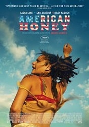 Scumpetea Americana online hd subtitrat
