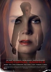 Nocturnal Animals 2016 online subtitrat in romana