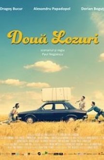 Douã lozuri 2016 film online hd gratis