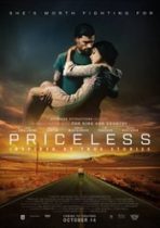 Priceless 2016 subtitrat hd in romana