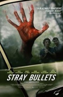 Stray Bullets 2016 online hd subtitrat in romana