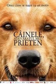 A Dog’s Purpose 2017 film online hd subtitrat in romana