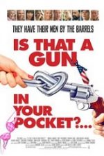 Is That a Gun in Your Pocket? 2016 film online hd subtitrat in romana