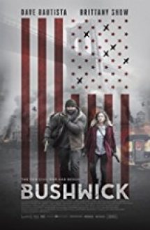 Bushwick 2017 online subtitrat hd in romana