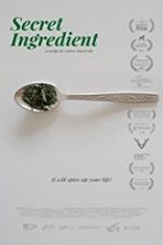 Secret Ingredient 2017 film subtitrat hd in romana