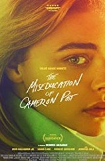 The Miseducation of Cameron Post 2018 film hd in romana