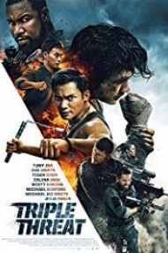 Triple Threat 2019 film subtitrat in romana