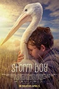 Storm Boy 2019 film online in romana
