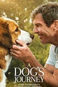 A Dog’s Journey 2019 film subtitrat in romana