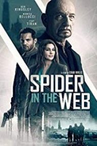 Spider in the Web 2019 in romana online hd
