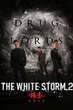 The White Storm 2: Drug Lords 2019 film online hd subtitrat