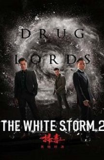 The White Storm 2: Drug Lords 2019 film online hd subtitrat